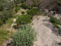 bild 298